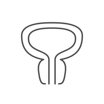Prostate gland line outline icon