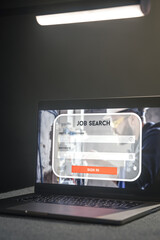 Job search in computer application, search for new vacancies on website.
