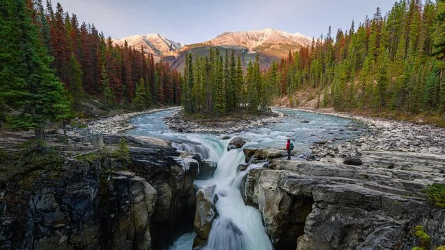 Scenery of Sunwapta Falls and river flowing in autumn pine forest on the sunset at Jasper national park