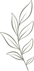 leaf minimal aesthetic