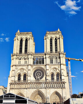 Catedral de Notre- Dame, París , Francia