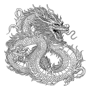line art of chinese dragon sketch hand drawing
