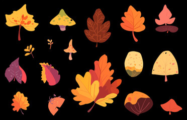 Autumn leaves vector bundle, Colorful Autumn leaves, Fall Leaves collection