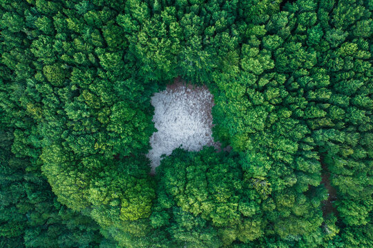 Aerial view of a forest with trees on Mount Termion Peak in Serino, Campania, Avellino, Italy.