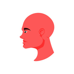 Bald man side face on isolated background, Vector illustration.