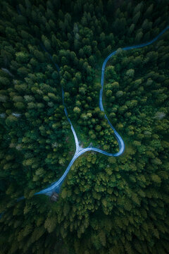 Aerial drone view a road junction crossing the forest, Eibsee, Flims, Graubunden, Switzerland.