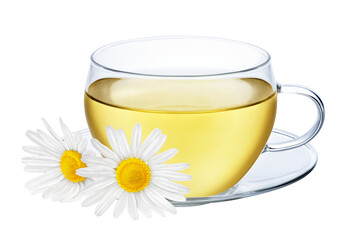 Glass cup of herbal tea with chamomile flower isolated on white or transparent background. Natural...