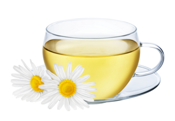 Glass cup of herbal tea with chamomile flower isolated on white or transparent background. Natural hot drink