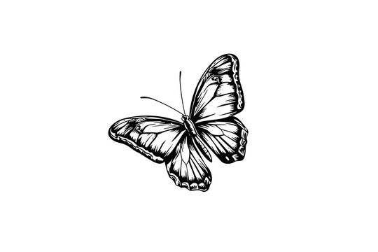 Butterfly sketch. Hand drawn engraving style vector illustration.