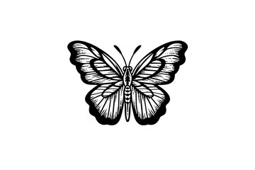 Butterfly sketch. Hand drawn engraving style vector illustration.