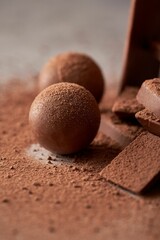 Closeup shot of chocolate candies with cocoa powder.
