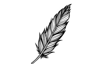 A vintage feather quill etching style sketch. Vector engraving style illustration.