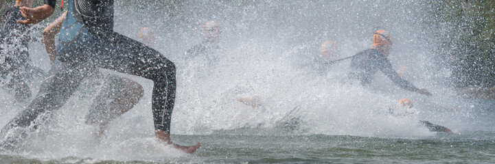 Triathletes in wetsuits running into a lake at a triathlon competition - obrazy, fototapety, plakaty