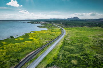 Highway road through mossy remote wilderness by coastline in summer