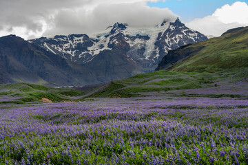 Fototapeta na wymiar journey through the magnificent wilderness of Iceland