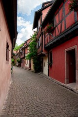 Fototapeta na wymiar Picturesque cobblestone street lined with vibrant pink buildings, Alsace, France