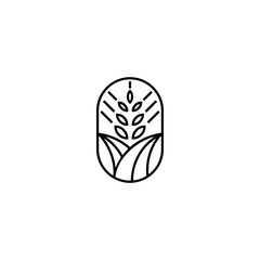 Wheat or paddy farm line logo design