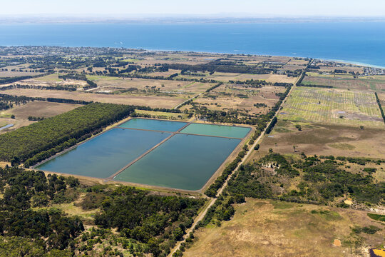 Aerial view of artificial lakes in Saint Leonard countryside, Victoria, Australia.