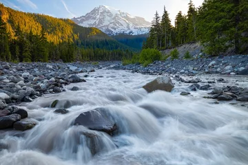 Fototapete Rund Wald Fluss Flowing rocky Nisqually River in Mount Rainier National Park  © Drob1/Wirestock Creators