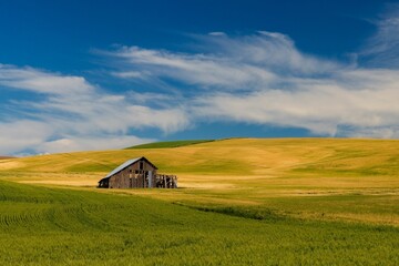 Abandoned old wooden barn on a rural field under a blue sky