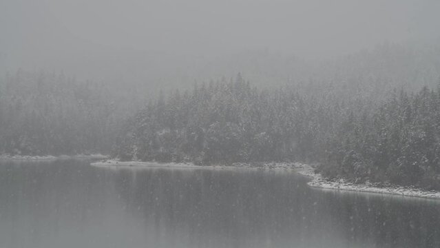 Winterwald mit See und Schneefall