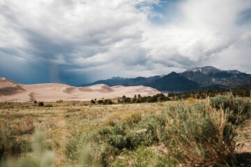 Dunes and a dry grassland with a mountain in the backdrop, Great Sand Dunes National Park