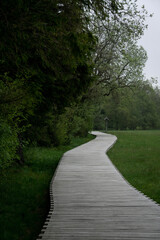 footpath through wastland in Hesse