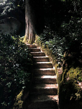 escalera de cuento