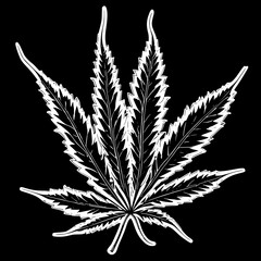 Fototapeta na wymiar cannabis leaf vector illustration
