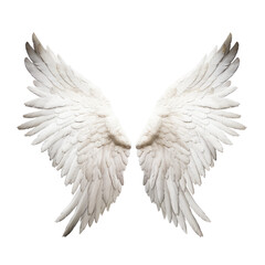 Fototapeta premium white angel wings isolated on transparent background cutout