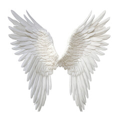 white angel wings isolated on transparent background cutout