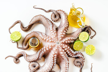 big nice fresh raw Octopus and other Ingredients. food Background