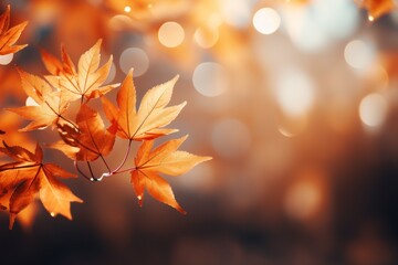 Naklejka na ściany i meble Maple leaf with Autumn background with orange, Generative with Ai.