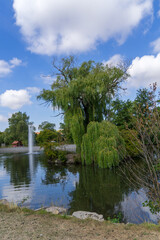 Fototapeta premium Water pond with fontaine in the german village called Neustadt Hessen