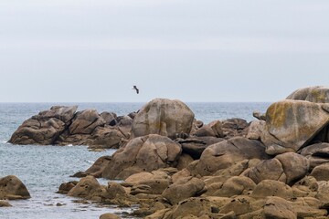 Landscape of a rocky shore surrounded by the water under a cloudy sky in the countrysid0e