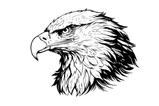 Eagle head logotype mascot in engraving style. Vector illustration of sign or mark.