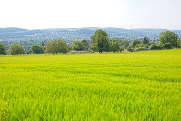 landscape near loerrach in southern germany
