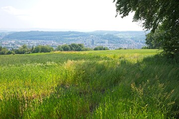 Fototapeta na wymiar landscape near loerrach in southern germany