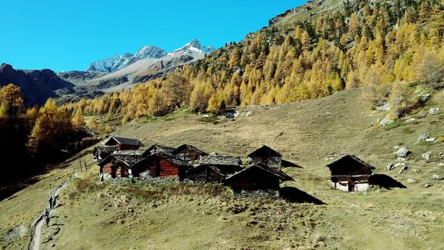 The hamlet of Le Louche at the foot of a larch forest in bright autumn colours, Val d'Herens, Eringertal, Valais, Switzerland, Europe