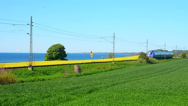Train on the line Malmoe, Ystad, here with the Baltic Sea in the background at Ruuthsbo, Ystad municipality, Scania, Sweden, Scandinavia, Europe