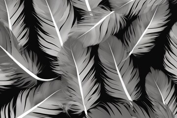 white feathers background
