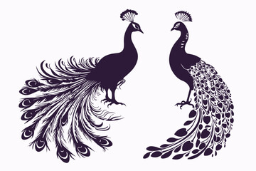 Peacock silhouette logo design set. Abstract and religion related.