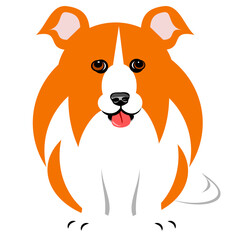 Collie dog cartoon