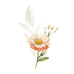 Watercolor Daisy Vector Flowers. Vintage little white flowers bouquet for Valentine's Day, wedding, sales and other events painted