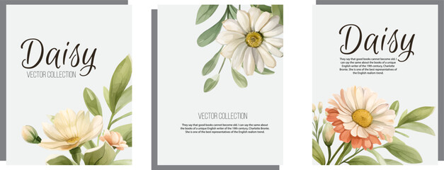 Watercolor Daisy Vector Flowers. Elegant daisy flower wedding invitation card template