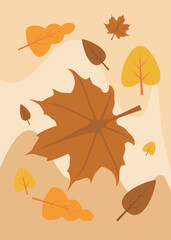 autumn leaves background