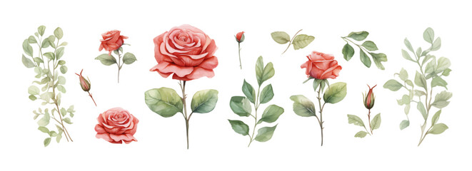 Set of floral elements. Flower red, burgundy, navy pink rose, green leaves. Wedding concept - flowers. Floral poster, invite. Vector arrangements for greeting card or invitation design