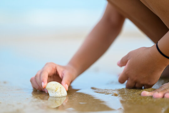 Closeup hand of a girl picking up a seashell on the beach