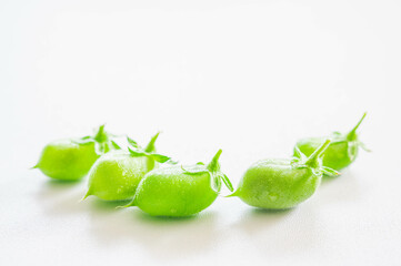 夏の安曇野　穂高の風景