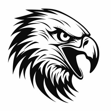 bird eagle vector illustration logo best tor your design t-shirt tattoo